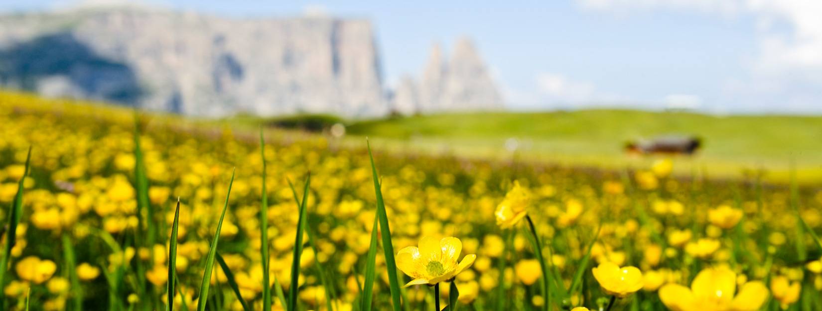 Book your room at the gate of Alpe di Siusi here!